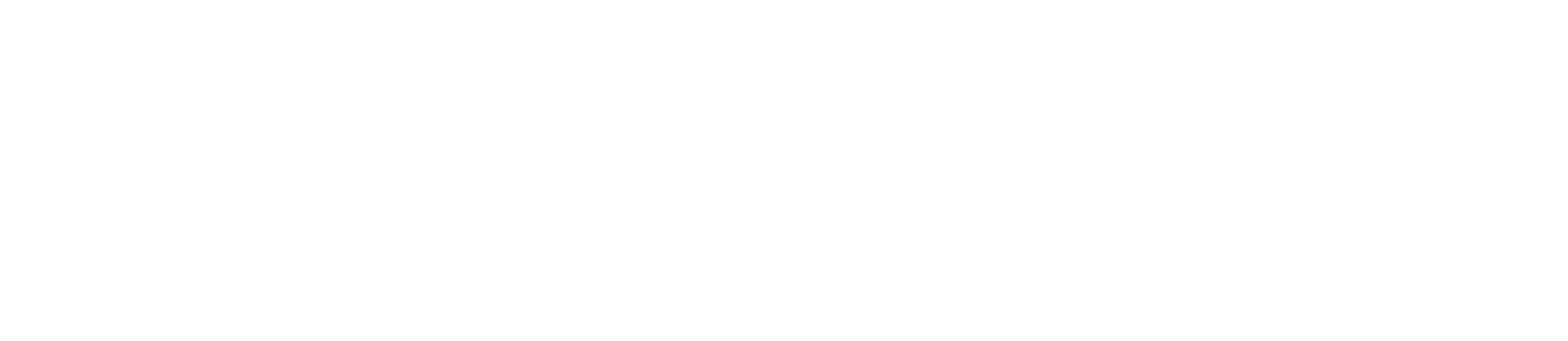 Stephenson Advisory Group Logo